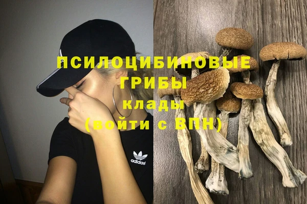 гидра Богданович