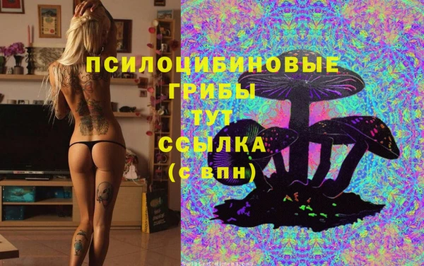2c-b Верея