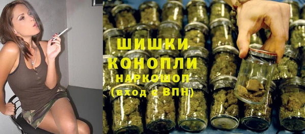 гидра Богданович