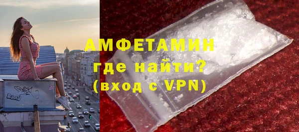 гидра Богданович