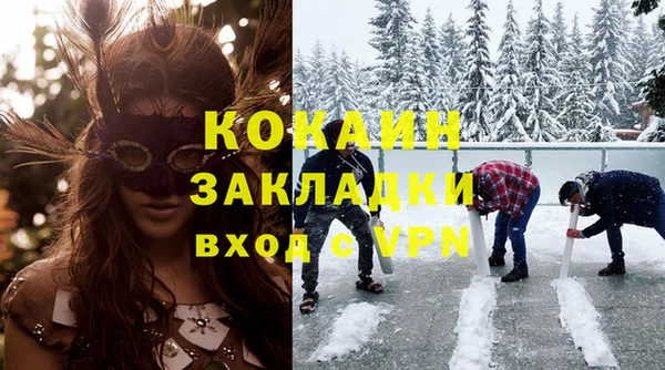 гидра Богданович