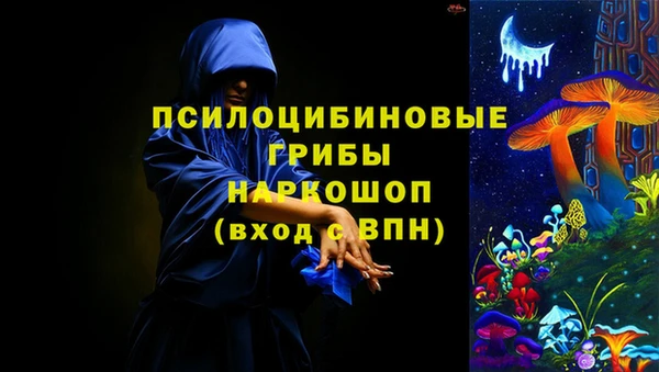 гидра Богданович
