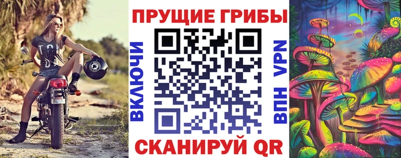 Псилоцибиновые грибы ЛСД Жердевка