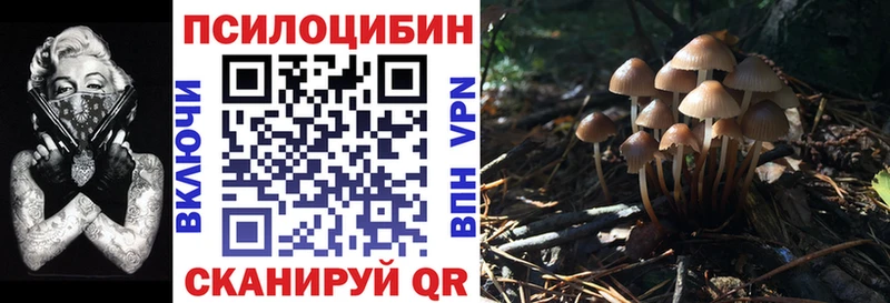 Галлюциногенные грибы MAGIC MUSHROOMS  даркнет сайт  Жердевка 